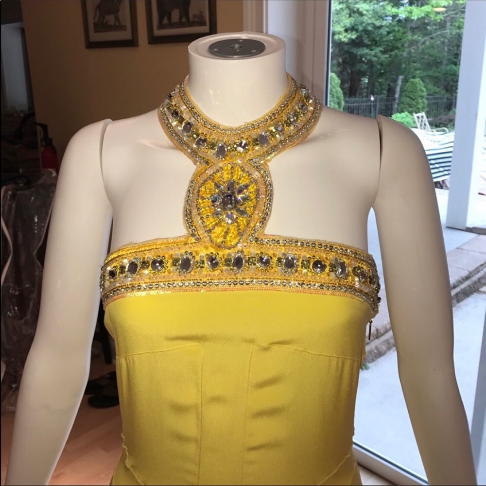 Roberto Cavalier Silk Canary Gown